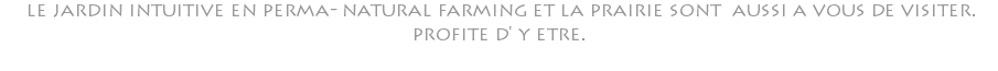  le jardin intuitive en perma- natural farming et la prairie sont aussi a vous de visiter. profite d' y etre.