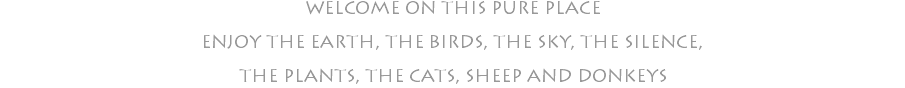 WELCOME ON THIS PURE PLACE ENJOY THE EARTH, THE BIRDS, THE SKY, THE SILENCE, THE PLANTS, THE CATS, SHEEP AND DONKEYS